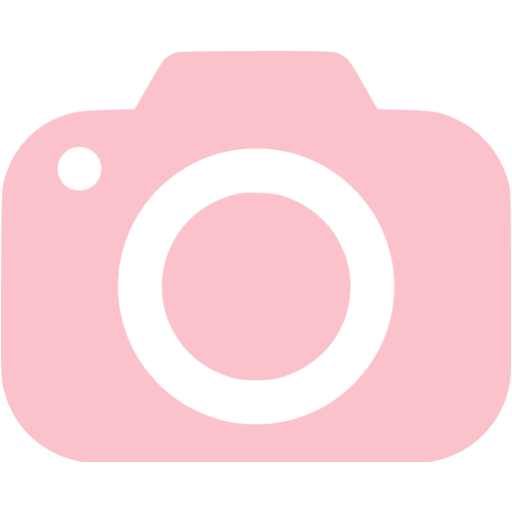 screenshot pink icon icons camera custom iconsdb