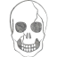 skull 37