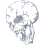 skull 16