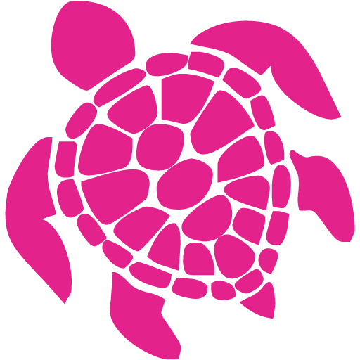 barbie sea turtle