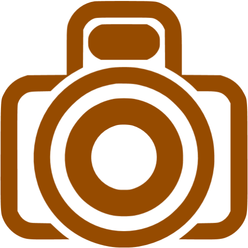 Brown camera 2 icon - Free brown camera icons