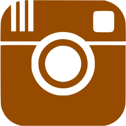 Brown Instagram Icon Free Brown Social Icons