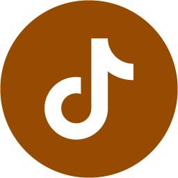 Brown tiktok 3 icon - Free brown social icons