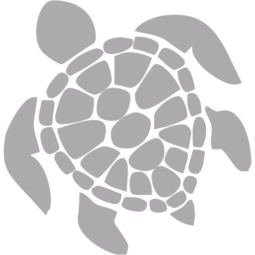 Dark gray turtle icon - Free dark gray turtle icons