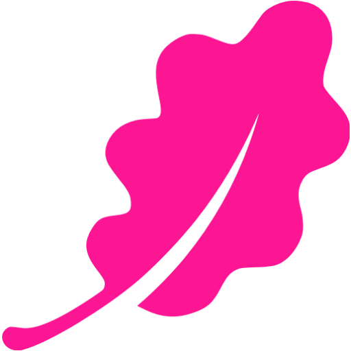 Deep pink ruler 2 icon - Free deep pink ruler icons