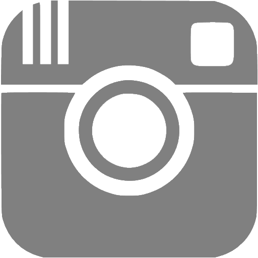 gray instagram logo vector