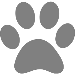 Gray paw icon - Free gray paw icons