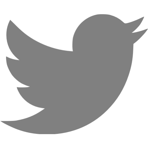 twitter white icon png