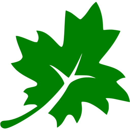 Green leaf icon 23363687 PNG