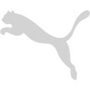Light gray puma 2 icon - Free light gray site logo icons