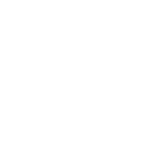 store icon png