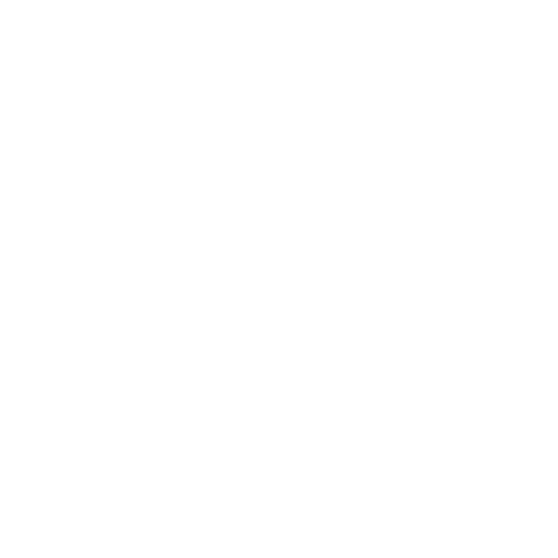 white facetime logo