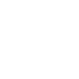 White flag icon - Free white flag icons