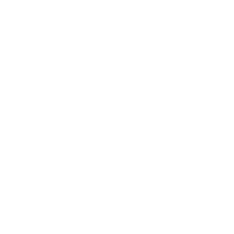 White ford icon - Free white car logo icons