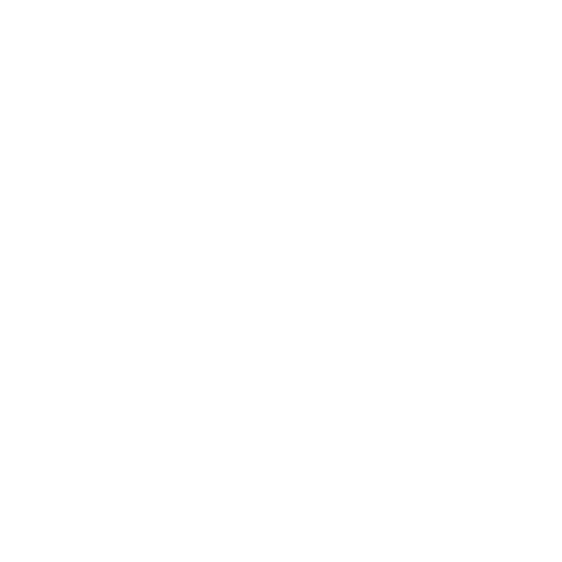 home logo icon in white