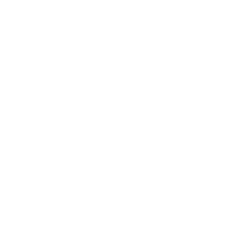 White Owl Icon Free White Animal Icons