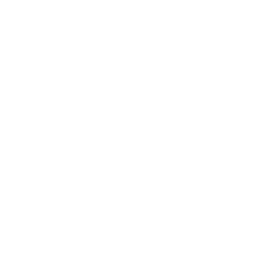x png icon