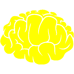 Cartoonish yellow brain with smooth rounded surface png download -  2048*1888 - Free Transparent Human Brain png Download. - CleanPNG / KissPNG