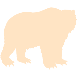 bear 3 icon