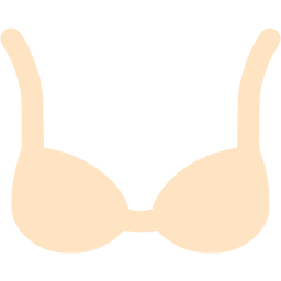 bra icon