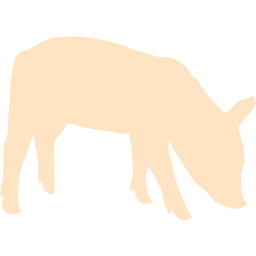 pig 2 icon