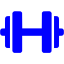 blue dumbbell icon