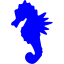 blue sea horse icon