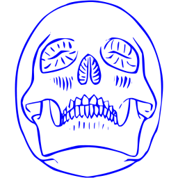 skull 29 icon