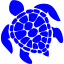 blue turtle icon