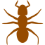 brown ant 3 icon