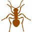 brown ant icon