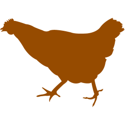 chicken 2 icon