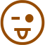 brown emoticon 41 icon