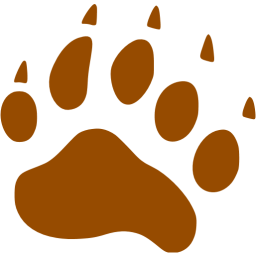 footprints bear icon