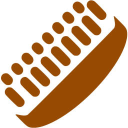 shoe brush icon