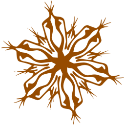 snowflake 4 icon