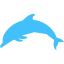 caribbean blue dolphin icon