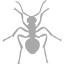 dark gray ant icon