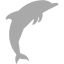 dark gray dolphin 2 icon