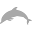 dark gray dolphin icon