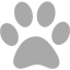 dark gray paw icon