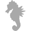 dark gray sea horse icon