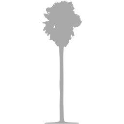 tree 77 icon