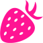 deep pink berry icon