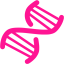 deep pink dna helix icon