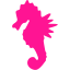 deep pink sea horse icon