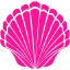 deep pink seashell 2 icon