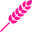 deep pink wheat icon