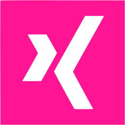 xing 2 icon