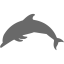 dim gray dolphin icon